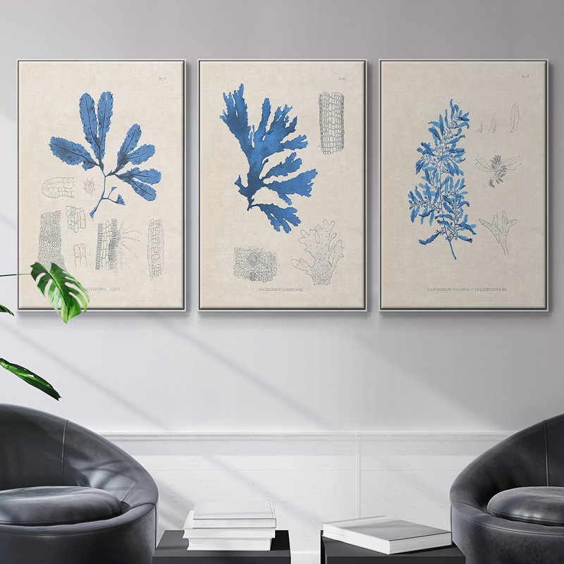 Algues bleu marine VI, H 27 po x l 54 po x P 2 po, Cadre blanc
