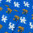 Alabama Polyester Standard-40955330