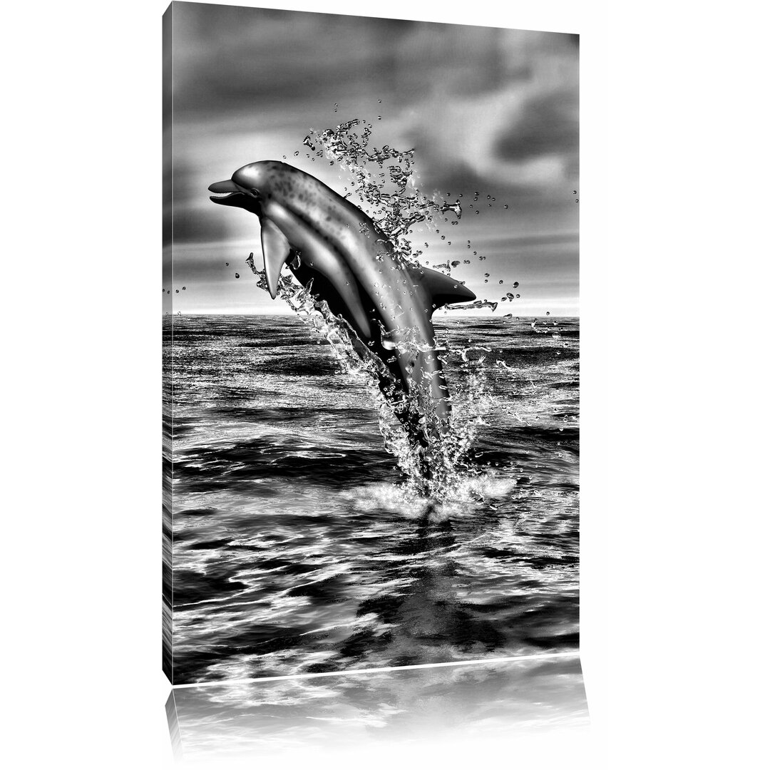 Leinwandbild Delphin Sprint im Meer in Monochrom