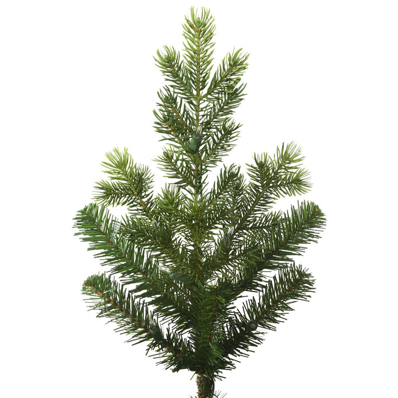 Sapin de Noël artificiel aigle Frasier, H 10 pi x l 73 po, Non pré-éclairé
