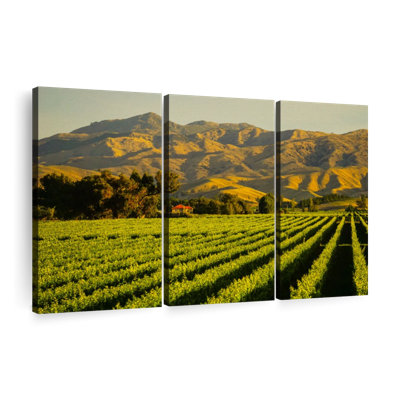 «Blenheim Vineyard» sur