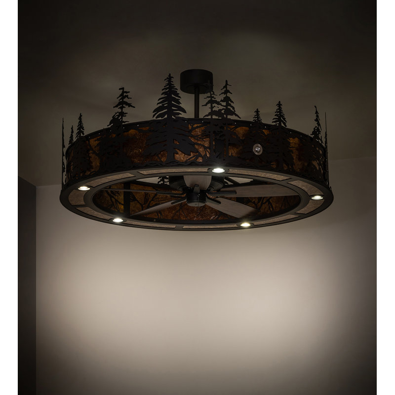 Ceiling Fan