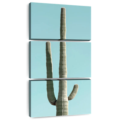 Cactus verts du désert