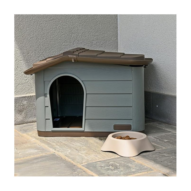 Dog House, Brown/Green