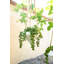 Hampson Ceramic Hanging Planter