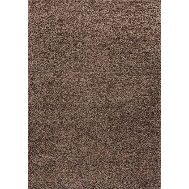 Esterly Shaggy Dark Beige Rug, Rectangle 80 x 150cm