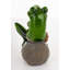 Animals Figurines & Sculptures