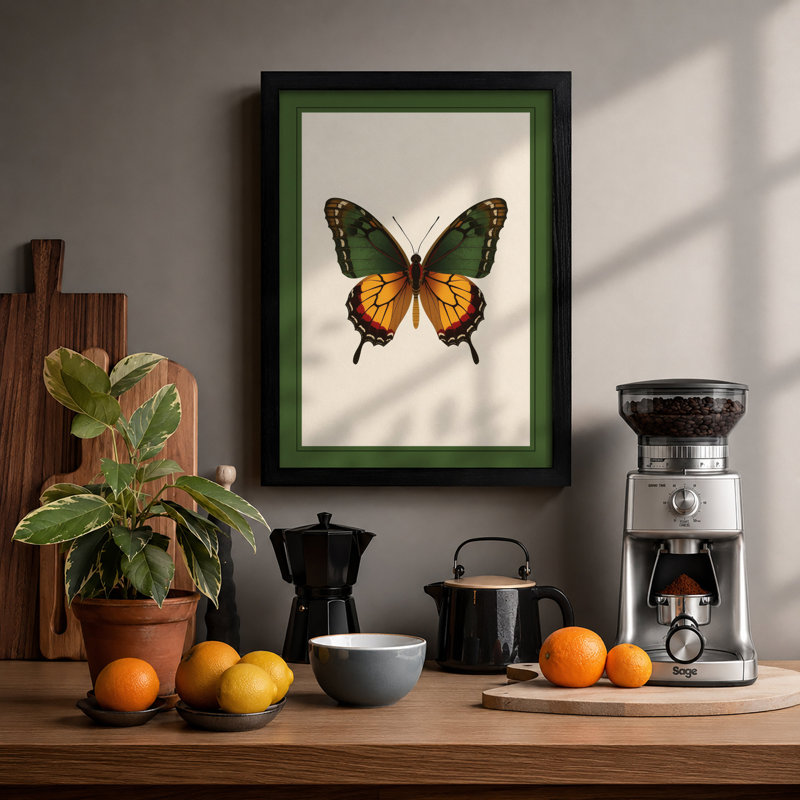 Specimen Butterfly Botanical - Framed Print, A2 - 59.4 x 42.0 cm, Black