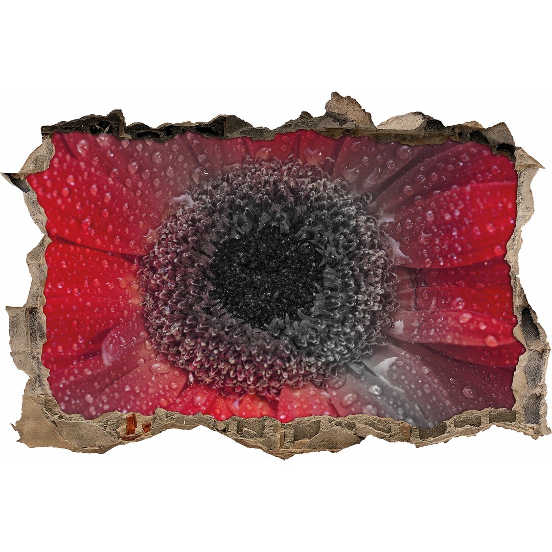 Wandtattoo Rote Gerbera mit Wassertropfen