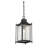 Benisch Black 1 -Bulb 18.75" H Outdoor Hanging Lantern