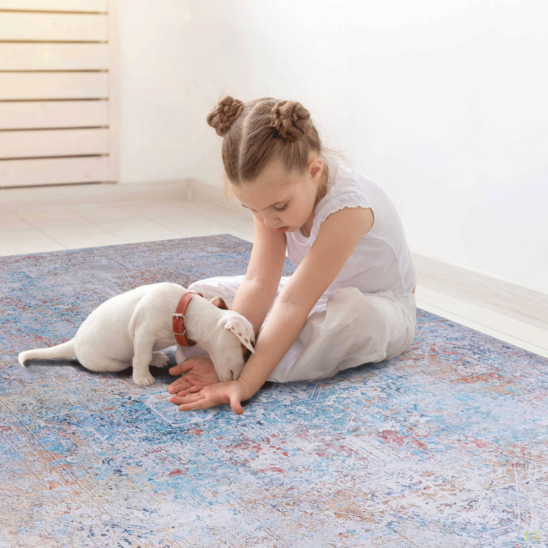 MAVAL Washable Rug 8X10 Area Rug ( 8' X 10'), Rectangle 8' x 10'