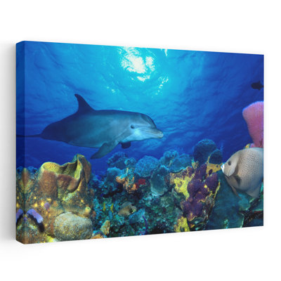 Bottle-Nosed Dolphin Tursiops Truncatus And Pomacanthus Arcuatus On Coral Reef In The Sea Abstract Contemporary Art