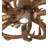 Jamius 9 - Light LED Novelty Chandelier