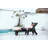 Lounge Chair Outdoor With Wood Texture,Oversized Chaise Lounge Chair With 5 Positions, HDPE, Patio Lounge Chair With Wheels & Cup Holder For Pool, Deck, Poolside-1463943965