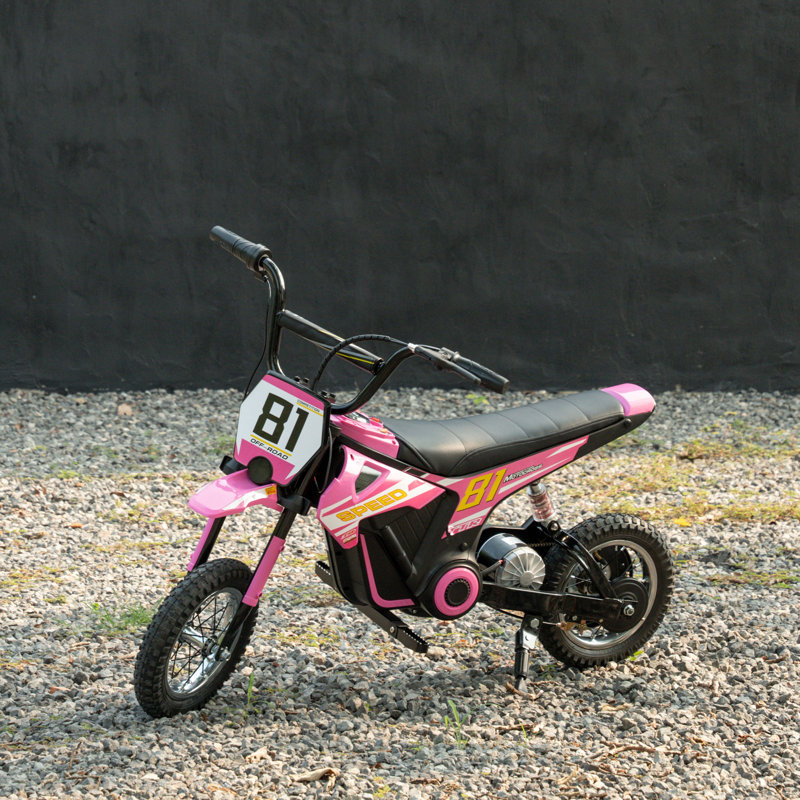 Ivy Bronx Battery Powered Ride On, Pink