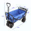 Chariot de plage pliable-123262905