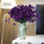Tiges Delphinium