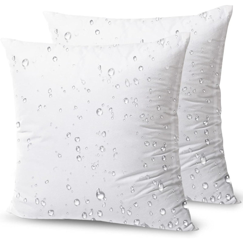 Ensemble de 2 coussins décoratifs de qualité supérieure en polyester résistant à l'eau de forme carrée