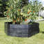 Polypropylene Plastic Composting Accessory