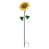 Tournesol est en rupture de stock
