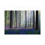 Adrian Popan - Wrapped Canvas Print-29382582