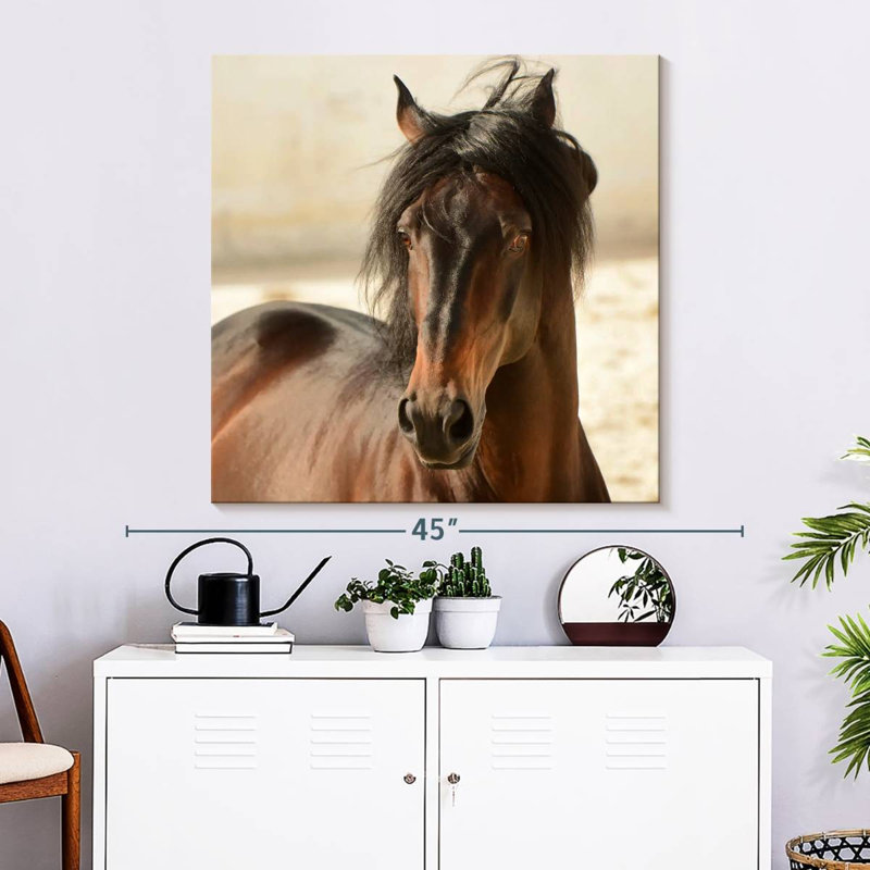 Brampt Brown Casanova, 33" H x 33" W