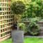 Chelsea Planter Box-97119369-97119371