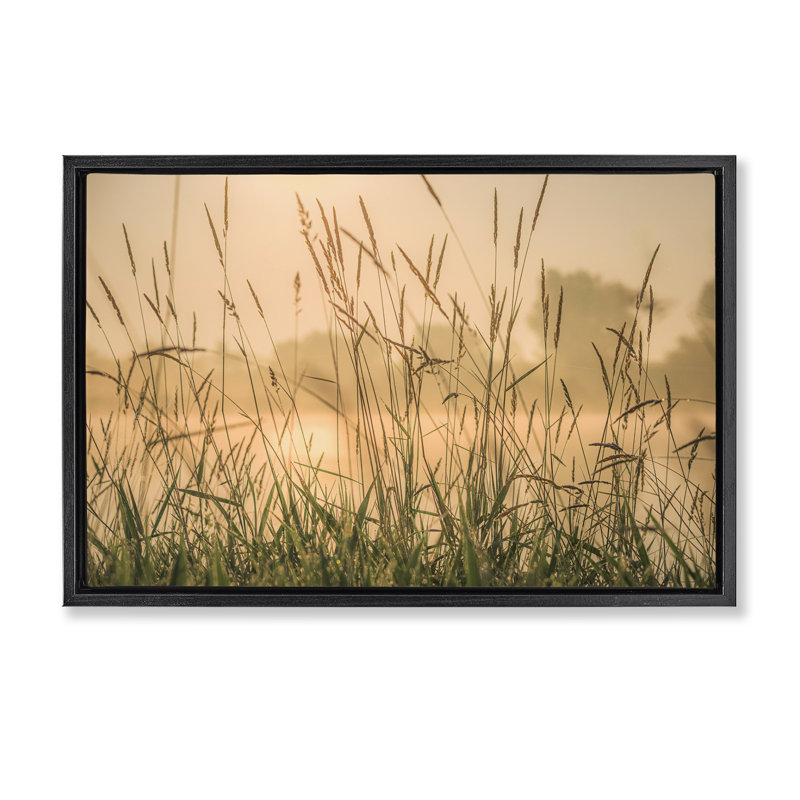 Toile flottante «Grassy Country Reeds» par Marty Hulsebos, Cadre flottant noir de jais, H 21 po x l 31 po