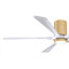 Ventilateur de plafond à 5 pales DEL avec ensemble d'éclairage inclus Irene-264743194-139126705-190528878