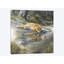 «A Fox Dr potable Water», impression sur toile-29479705-73649193-73649188