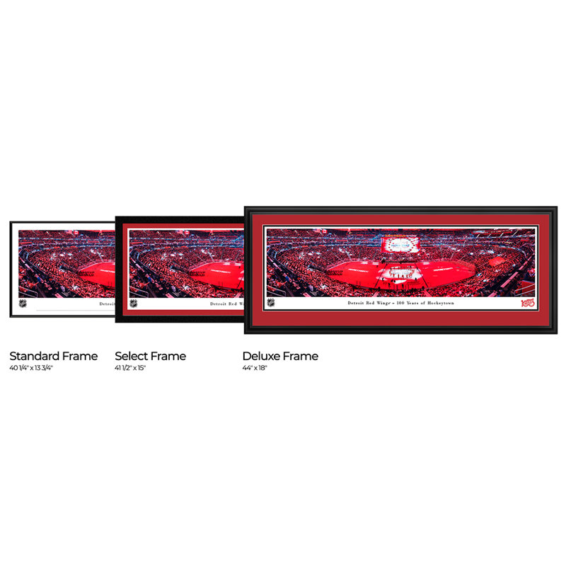 Detroit Red Wings, Centennial Stick Salute - Cadre de luxe