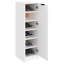 vidaXL Shoe Cabinet with Shelf with Storage with Door Engineered Wood Unit-1784538902