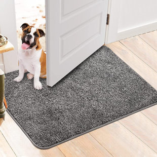 Latitude Run® Non Slip Indoor Door Mat, 30x 30 Farmhouse Door Rugs  Machine Washable Door Mats for Entryway & Reviews