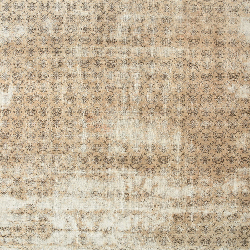 Oriental Indoor Rug, Rectangle 5' x 7'