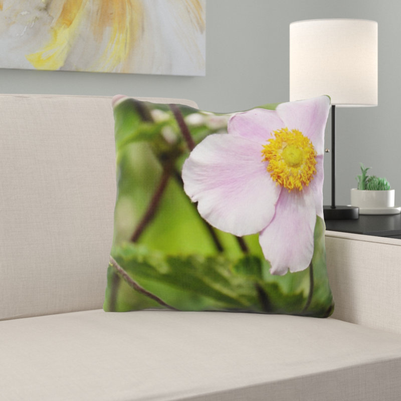 Coussin anemone