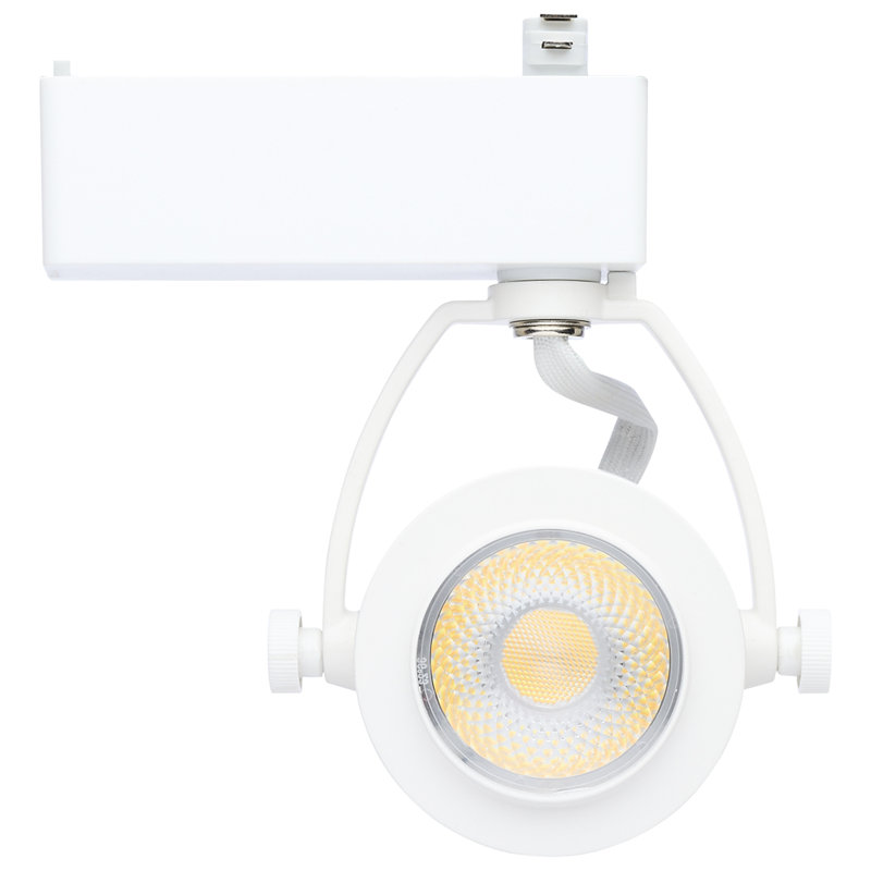 Tête de rail DEL 12 watts à tête de pin 120 Volts RVBTW, Blanc mat