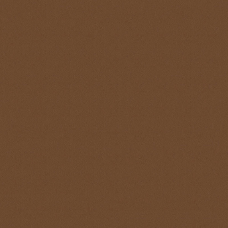 Tissu Whisper, Cannelle