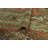 Shatia Wool Oriental Indoor Rug