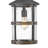 Lakehouse Aged Zinc 1 -Bulb 17.75" H Outdoor Pendant
