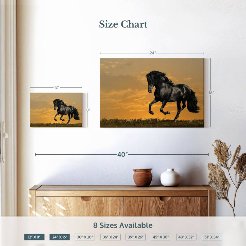 Cheval noir Brampt au coucher du soleil, H 16 po x l 24 po