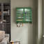 68 cm W Display Cabinet with Lighting