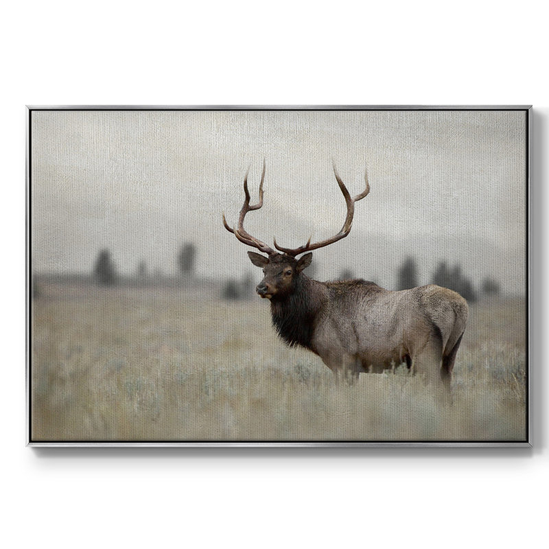 Grand élan encadré sur toile, H 25 po x l 37 po x P 2 po, Argent