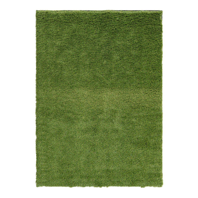 Tapis intérieur / extérieur Cathlyn, Rectangle 5 pi 1 po x 7 pi 1 po
