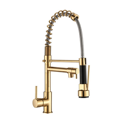 Landolt Kitchen Faucet