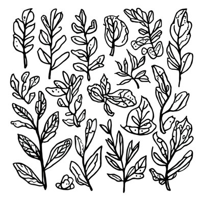 Toile tendue avec feuilles noires botaniques noires en plusieurs tailles