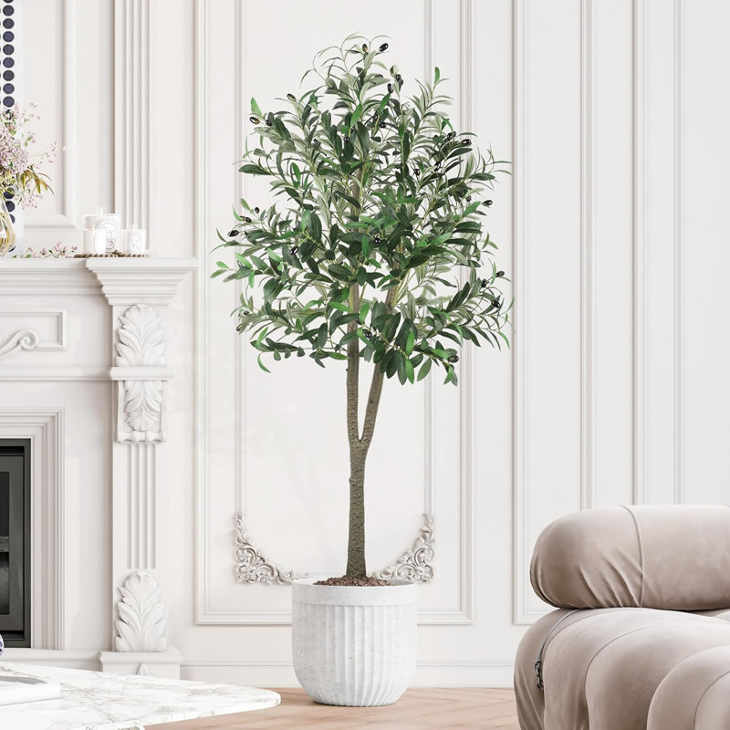 150cm Plant