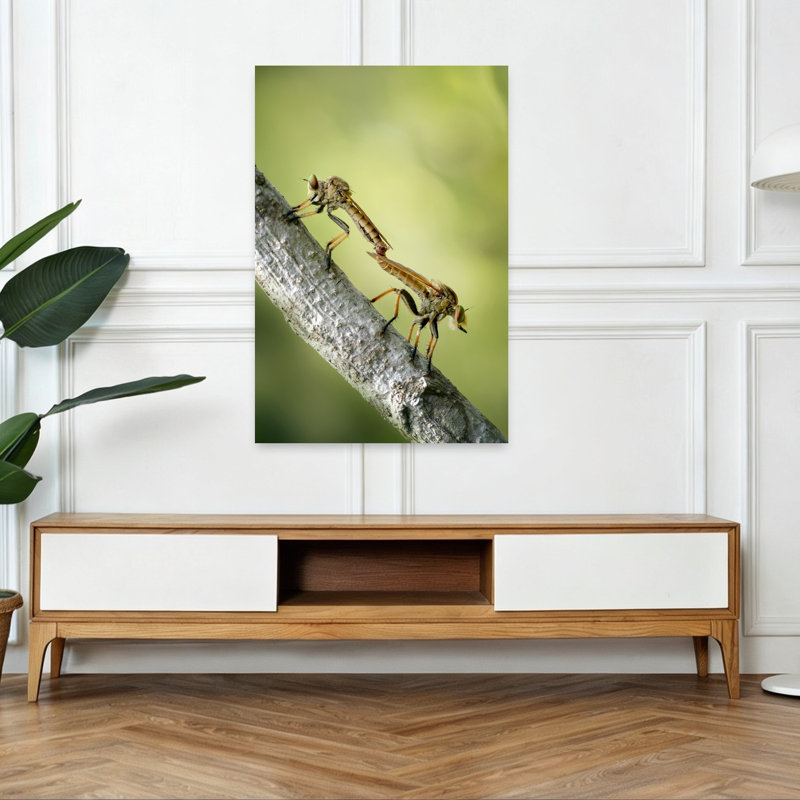 Mating Robber Flies Contemporary Fly Nature Summer Wall Art Print 1 Piece Wrapped Canvas Wall Art, 45.72cm H x 30.48cm W