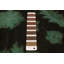 Vibrance Brown Rug 9'0" x 11'8"
