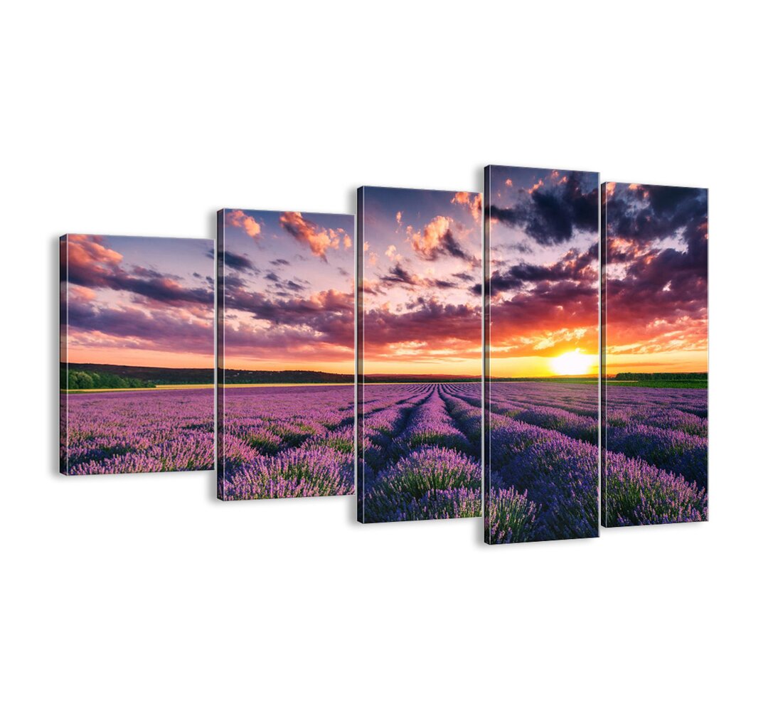 5-tlg. Leinwandbilder-Set - Fotografie „Lavender World”