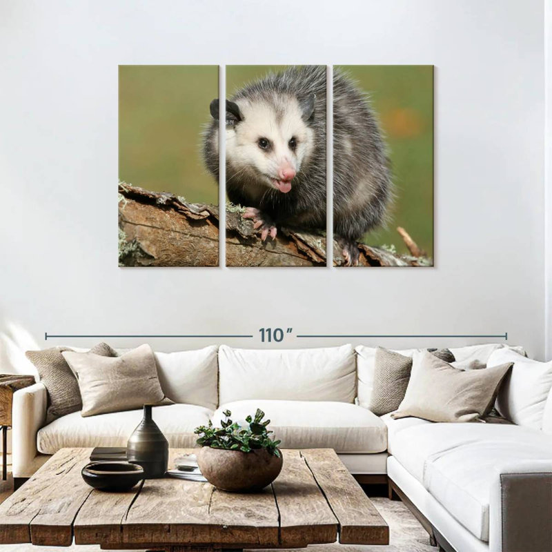 Brampt Angry Opossum, 48" H x 74" W